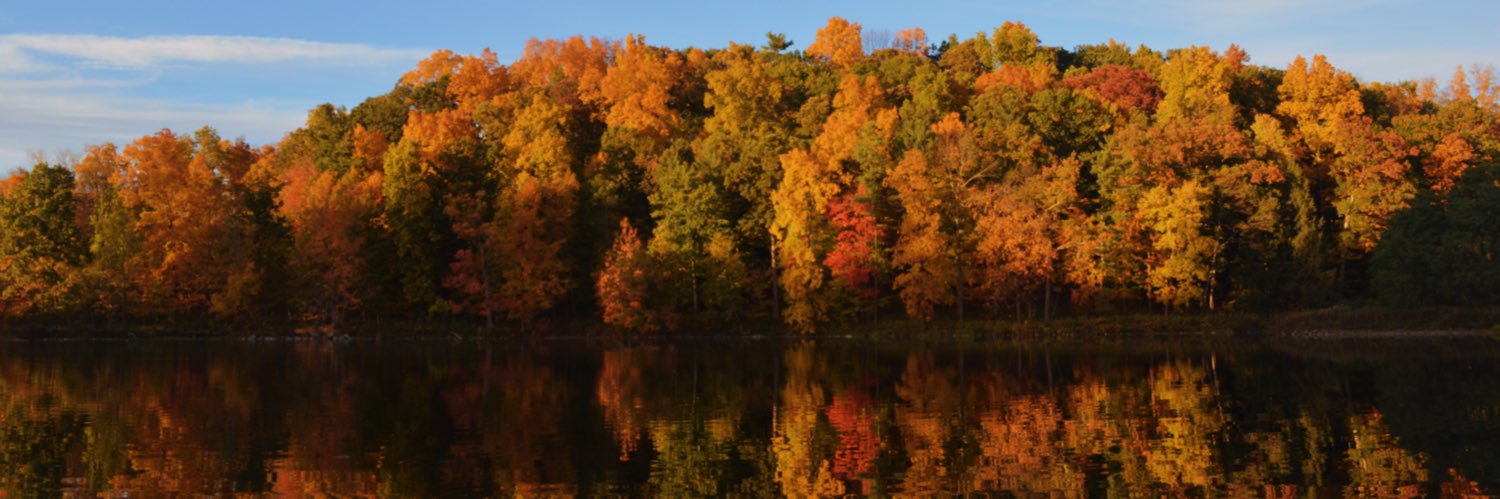 altodav's profile banner image