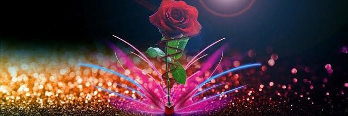 sh_ams5's profile banner image
