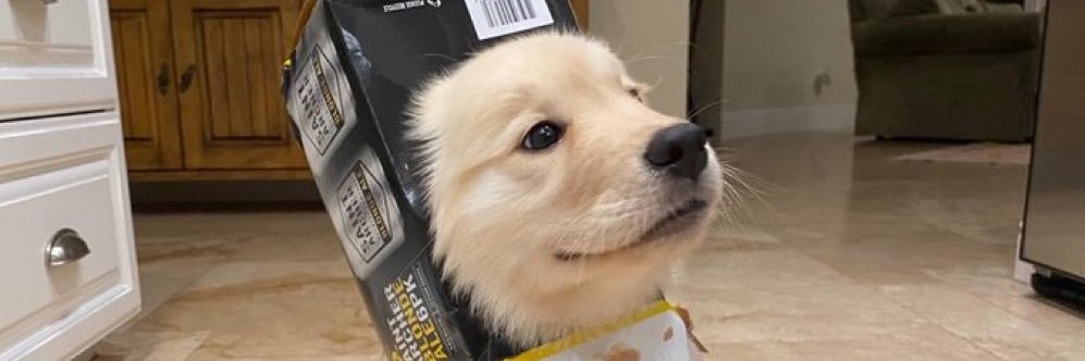 pinnpynn's profile banner image