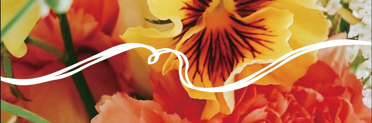 UDMRdsgn's profile banner image