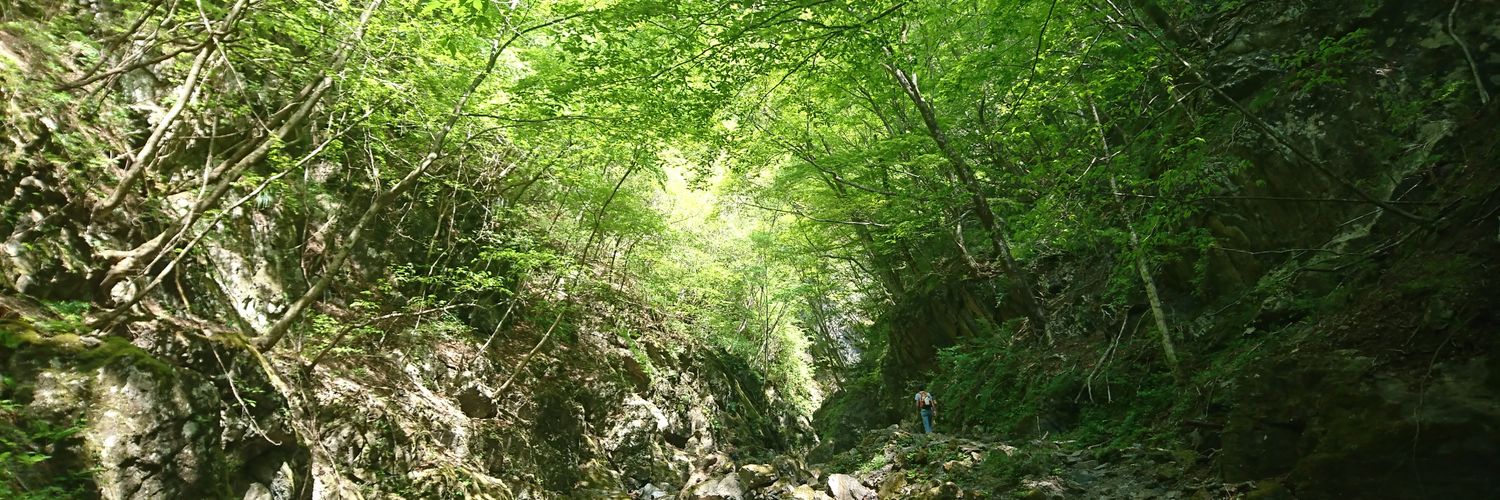 stardance0404 banner