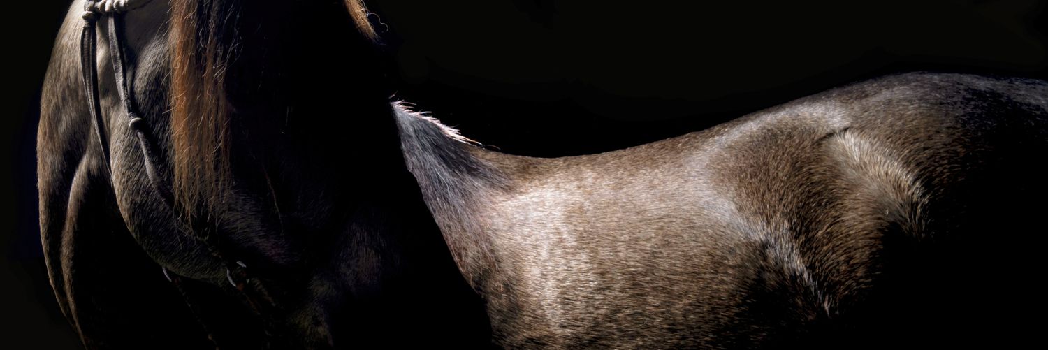 AdrianMelo100's profile banner image