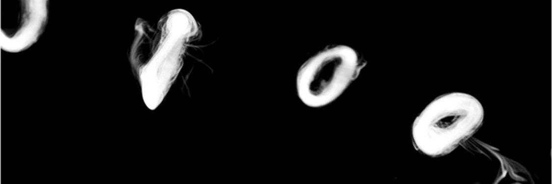 Smokioo's profile banner image