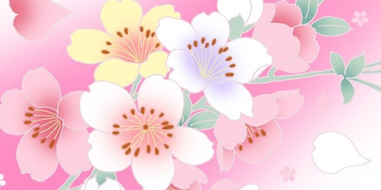 CaitlinSearle's profile banner image
