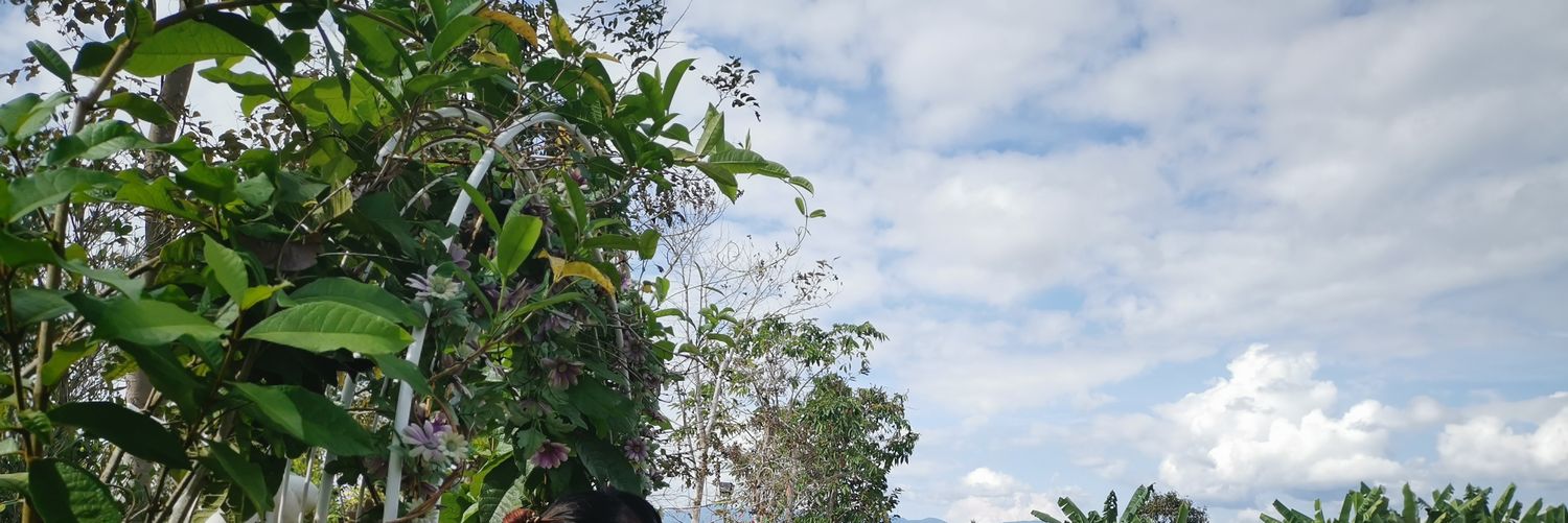 LittleMaymy's profile banner image