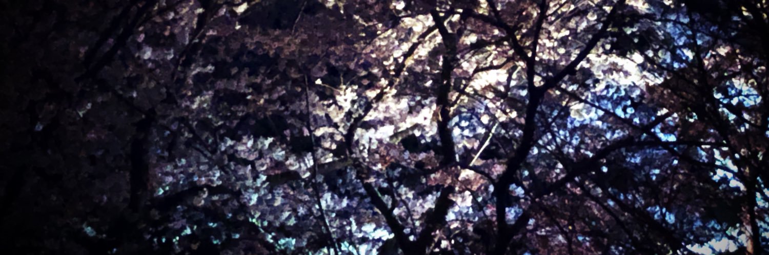 tmc_ymnk's profile banner image