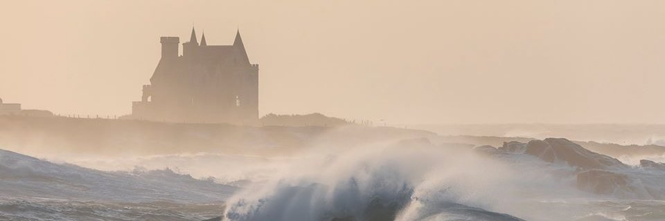 Colette banner