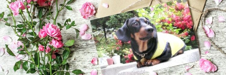 DAHAE114's profile banner image