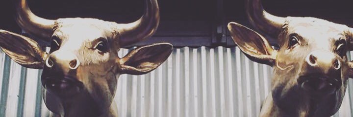 The Bull & Castle banner