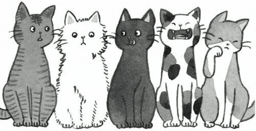 ditahilms's profile banner image