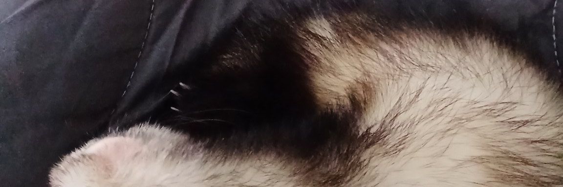 ɢʟᴏᴏᴍʏ.🤍 banner