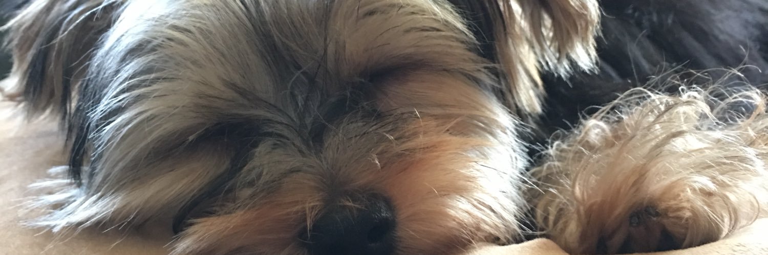 GuchiNerve's profile banner image