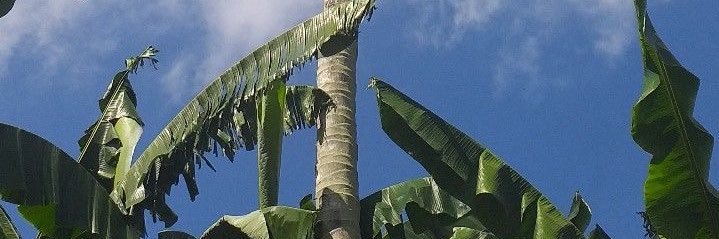 nbins6's profile banner image