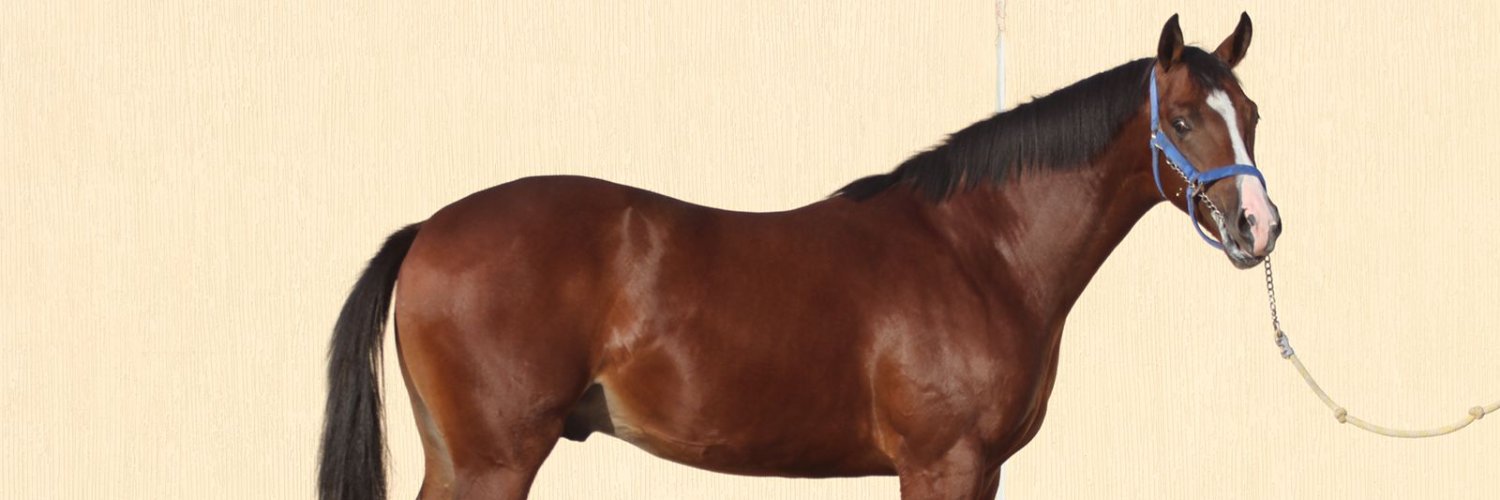 خالد الفوزان banner