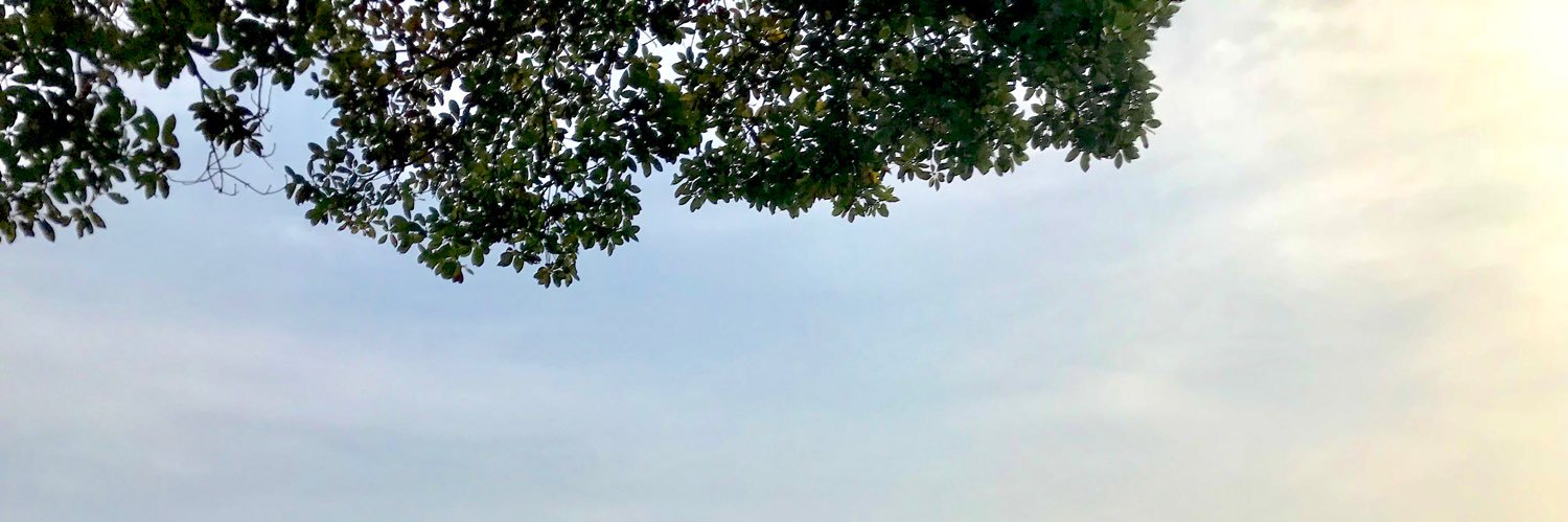 stststst002's profile banner image