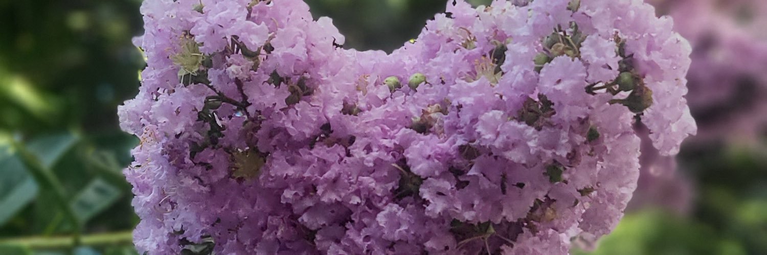 KoleKyra's profile banner image