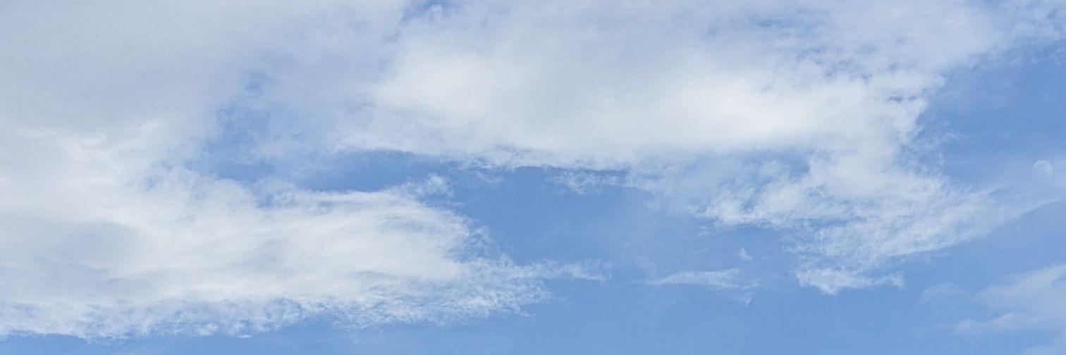 bkkcat508's profile banner image