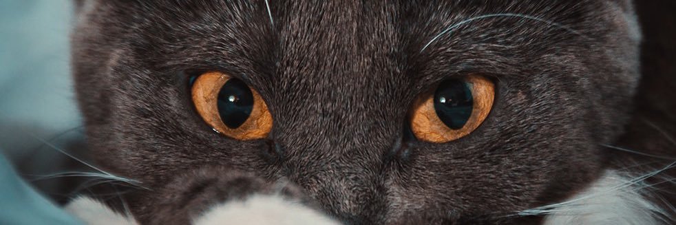 deltaHedge00's profile banner image