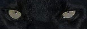 alsahe33's profile banner image