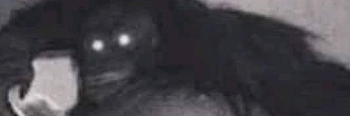 GustavoDP26's profile banner image
