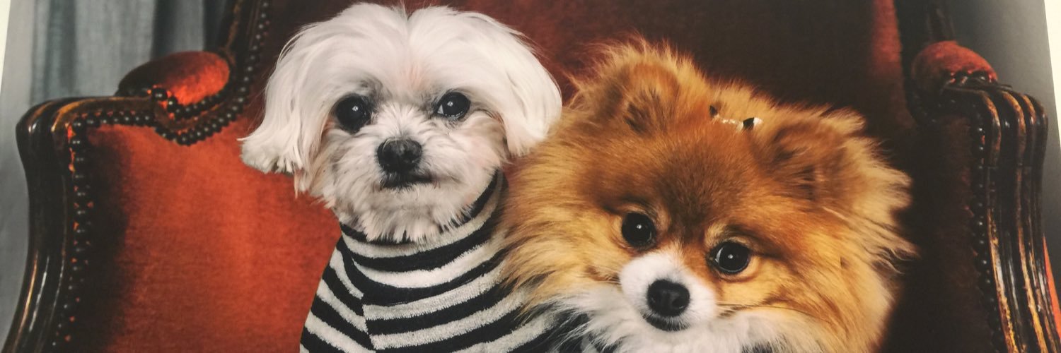 winstoninfo's profile banner image