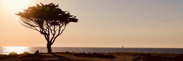 VarnesAndy Profile Banner