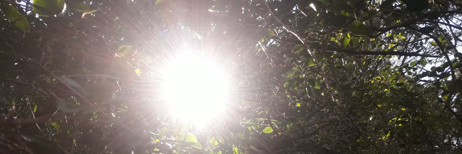 Un pibe más banner