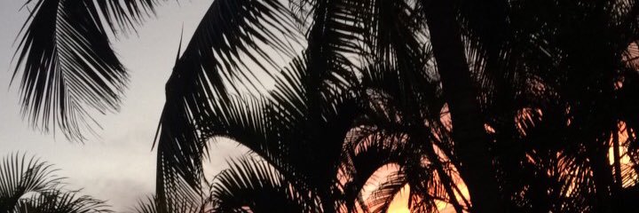 raw_shroom's profile banner image