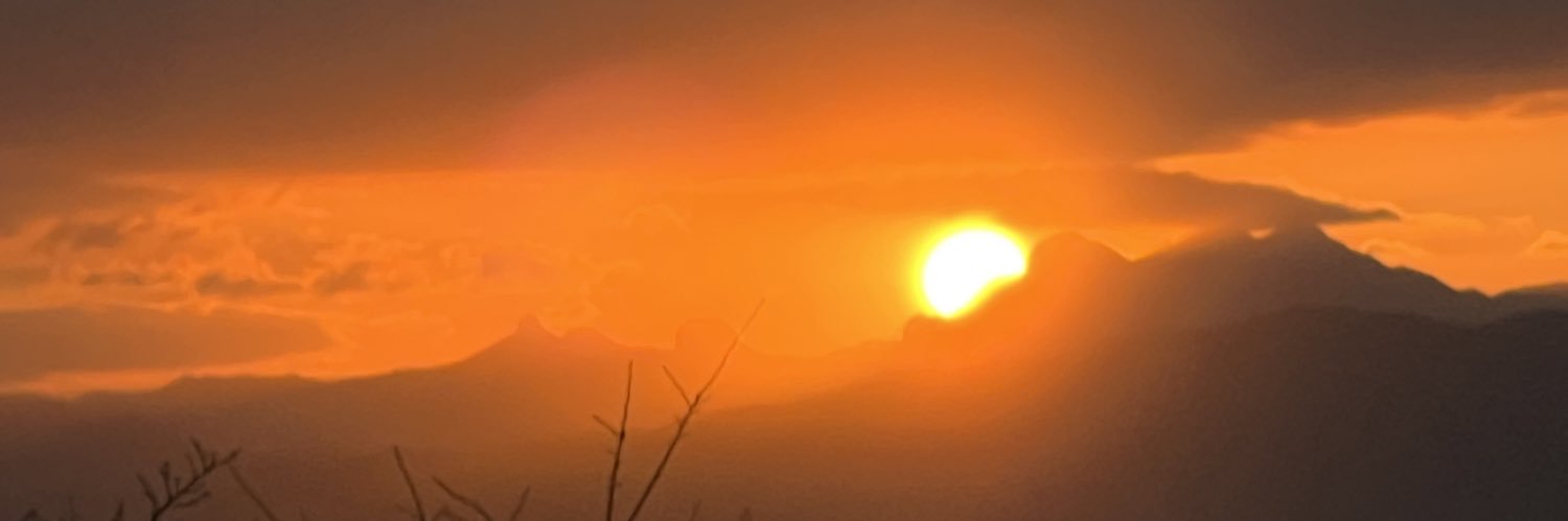 srcat's profile banner image