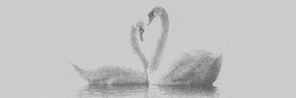clairmoire's profile banner image