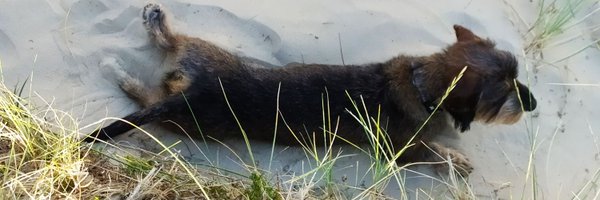 lucaskostka Profile Banner