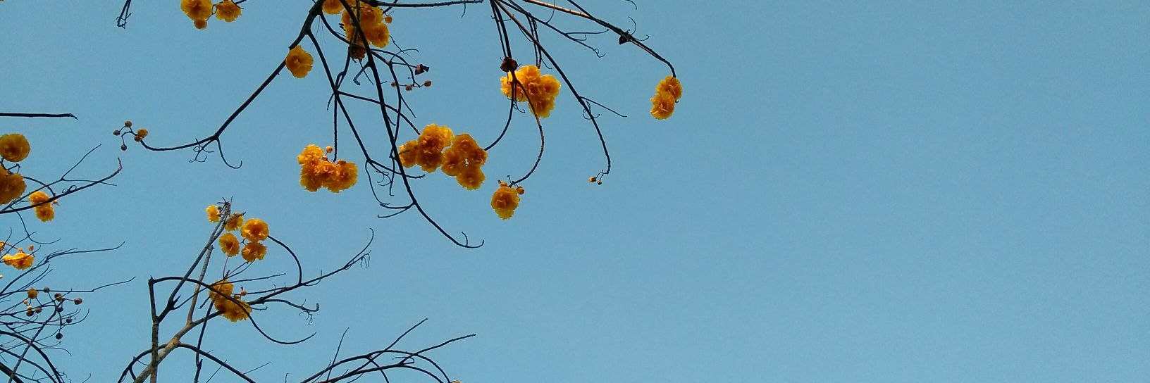 notemember's profile banner image