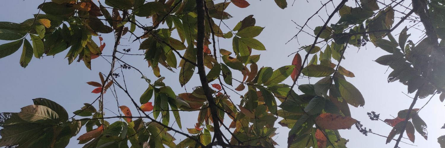 delhipeach's profile banner image