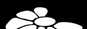 duliotec's profile banner image
