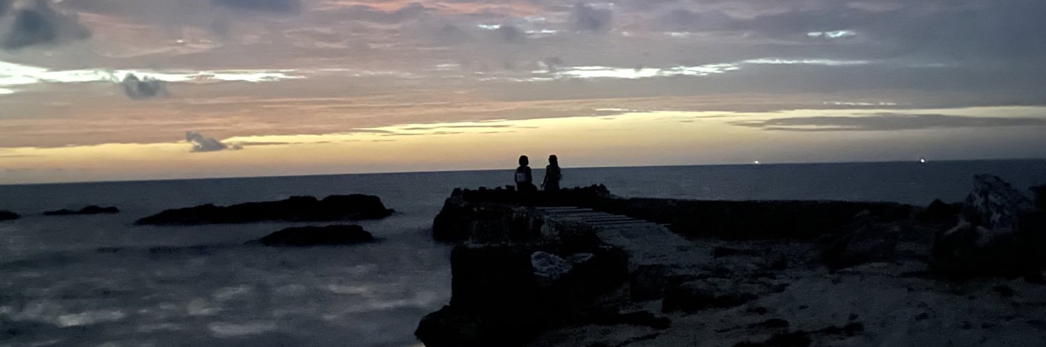 bluricksanchez's profile banner image