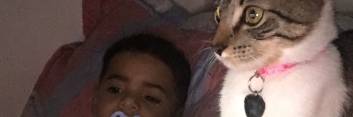 _Aninhalj's profile banner image