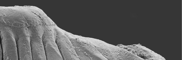 OceanExplauren Profile Banner