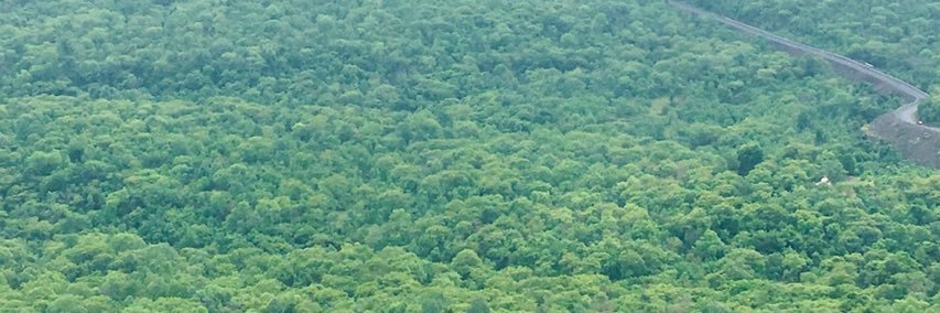 avinashtomar812's profile banner image
