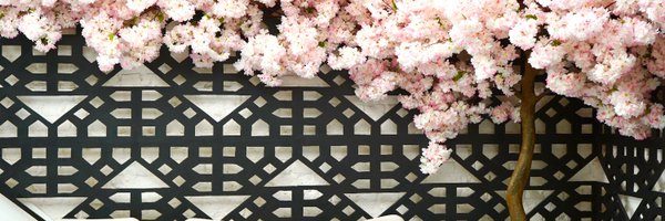 cocochanlondon Profile Banner