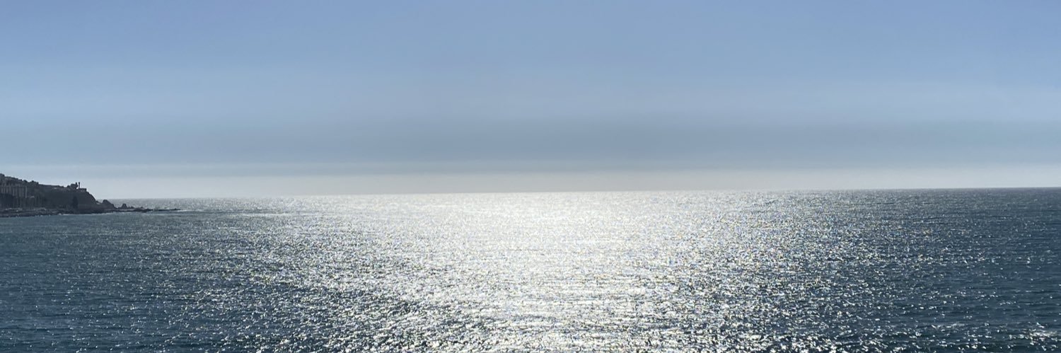 Marite Ferrada banner