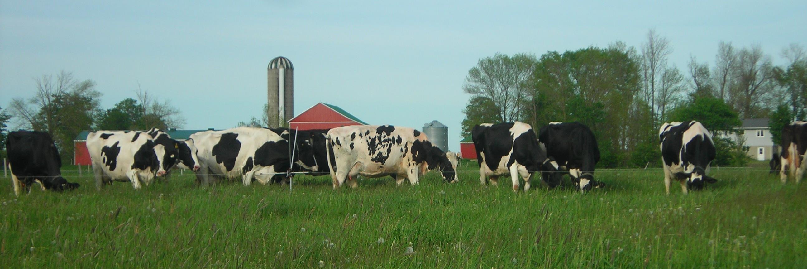 Don Dietrich banner