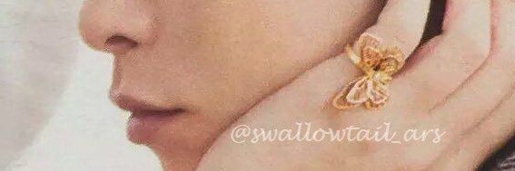 swallowtail_ars's profile banner image