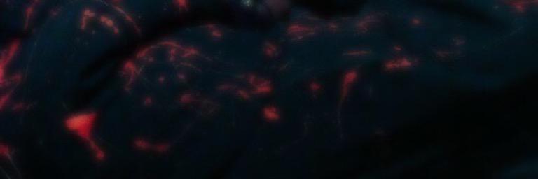 OoGRAVE's profile banner image