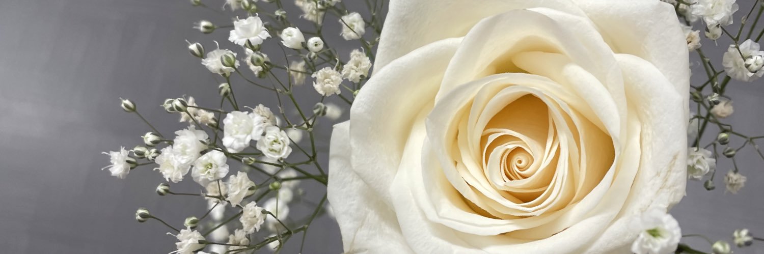 hailey jakubowski banner