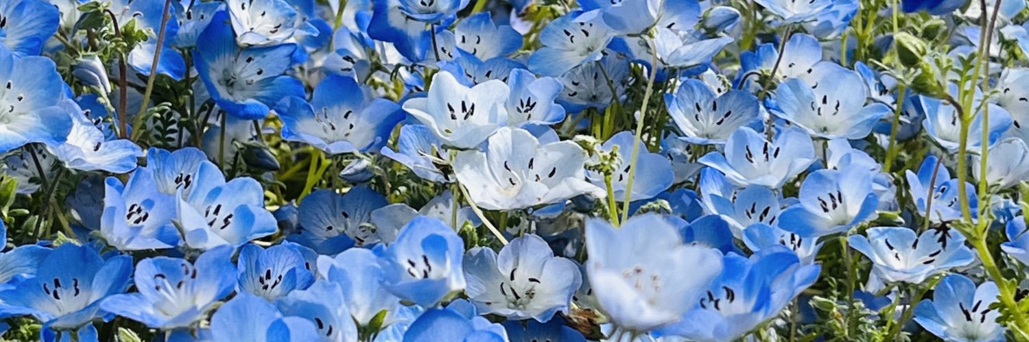 plu_ie's profile banner image