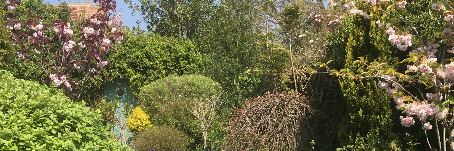 Emma Wood banner