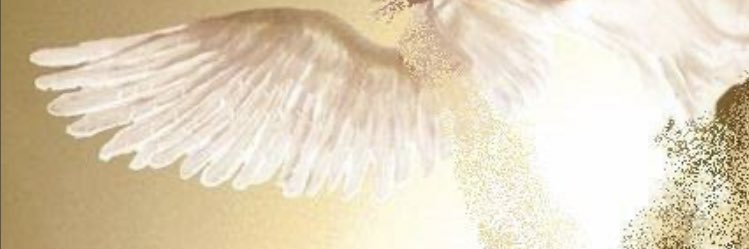 mininaomin's profile banner image