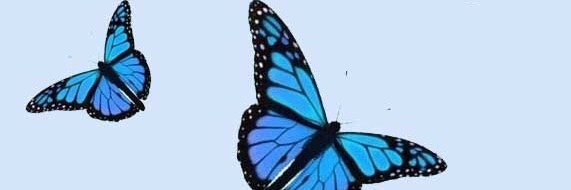GarveyAllison's profile banner image