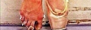 salmaclaus's profile banner image