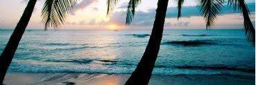 BeachUniverse's profile banner image
